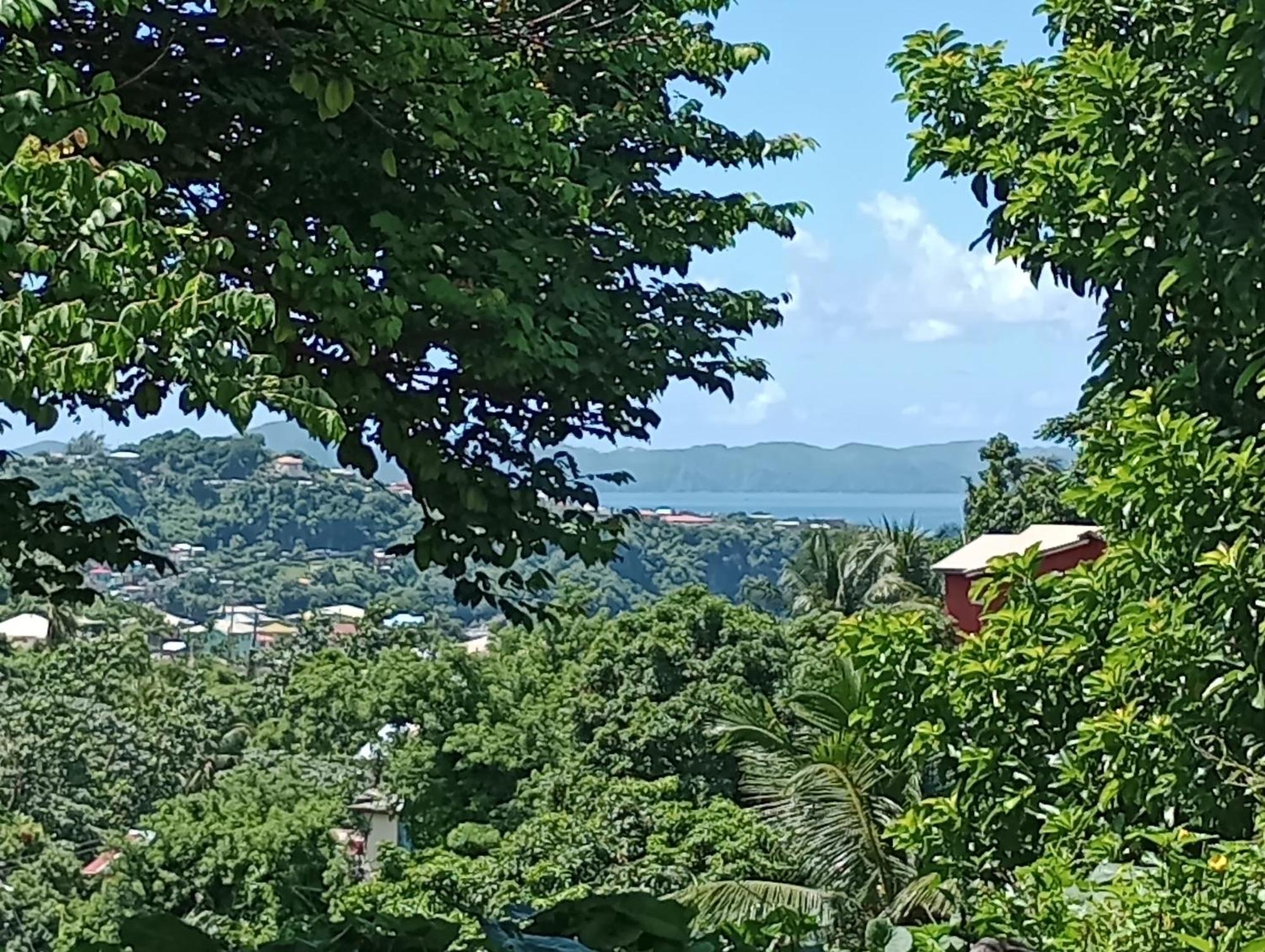 Garifuna Retreat Apartment Kingstown Exteriér fotografie